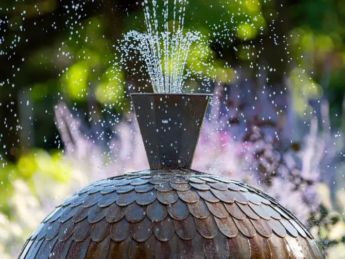 Landscape Architect