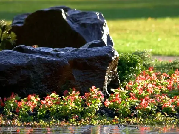 Our Pond & Water Feature Design & Installation process in Bothell