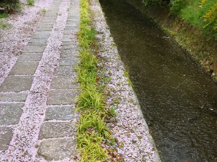 Drainage Solutions services in Bothell