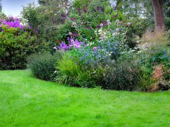 Landscape Architect