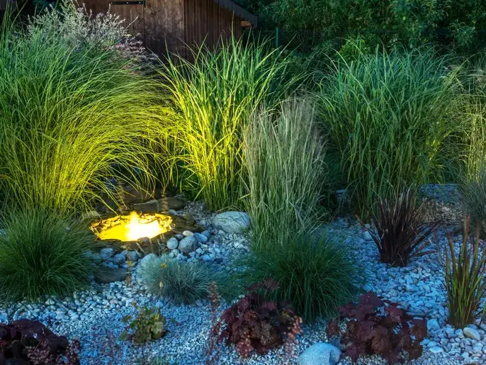 Professional Lighting Installation Services services by Adam Gorski Landscapes in Bellevue, WA &mdash; licensed scene Architect provider