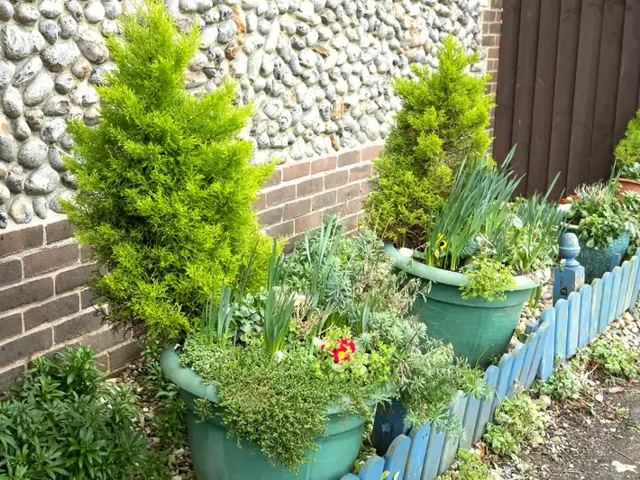 West Seattle front yard redesign with driveway updates, rain-ready grading, and soft lighting