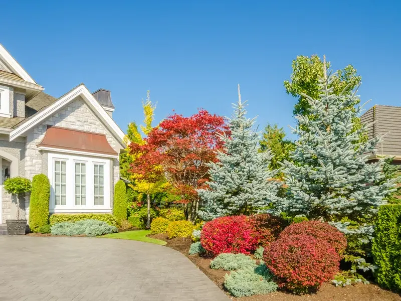 Landscape Architect design for a sloped front yard near North Creek in Bothell WA