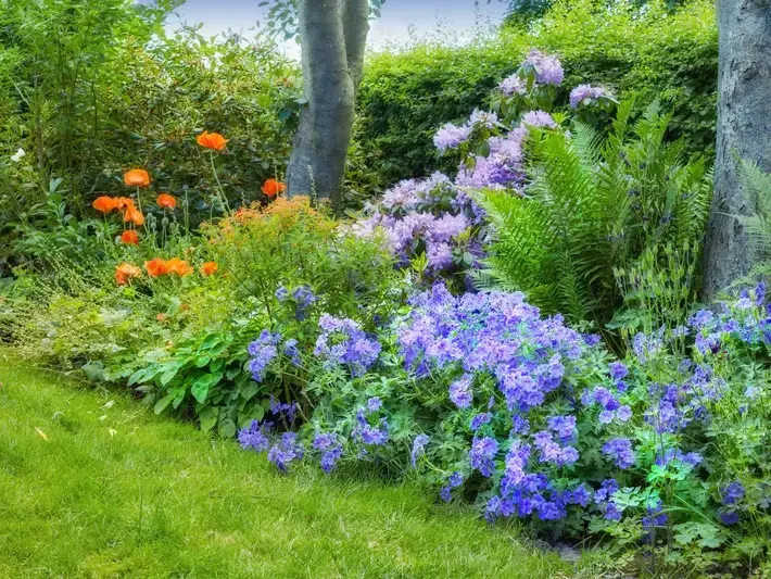 Planting services in Bothell, WA - Adam Gorski Landscapes