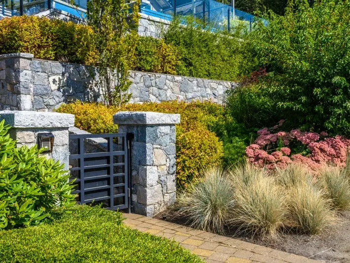 front yard design for a mid-century Burien home with new walkway and native plants