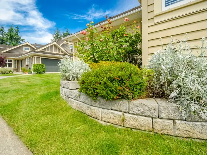 drainage and planting plan for a sloped yard in North Burien during wet season