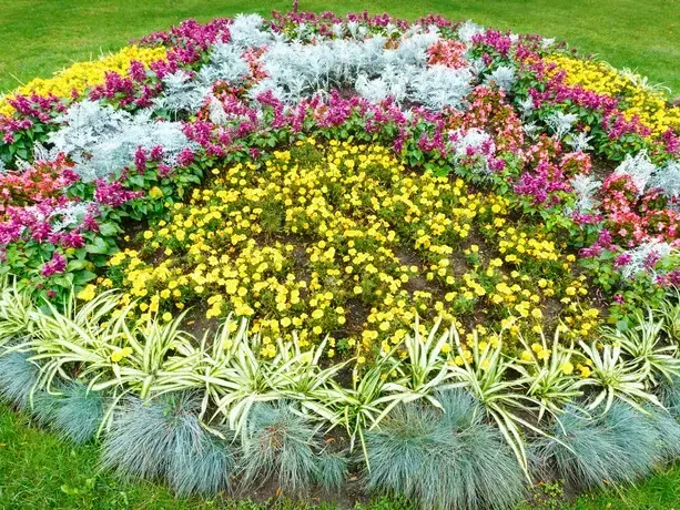 Adam Gorski Landscapes service area covering Bellevue, WA and surrounding neighborhoods