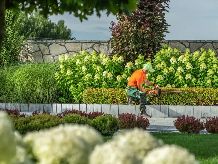 Landscape Architect