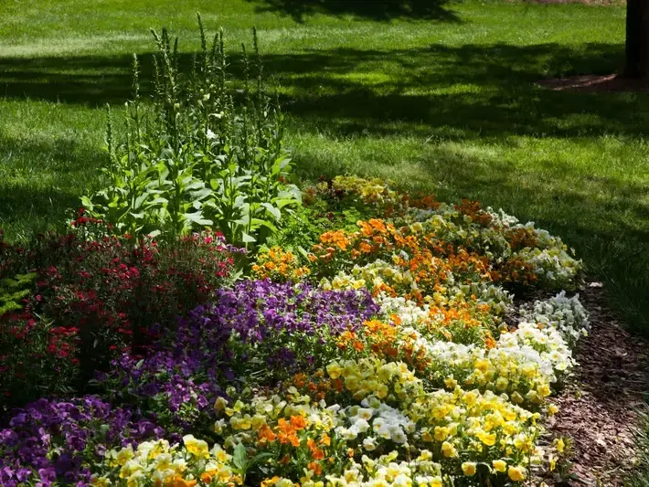 Our Planting services process in Bothell