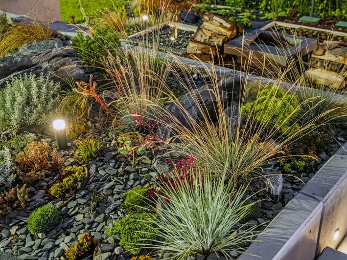 Landscape Architect