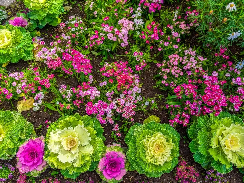 Landscape Architect