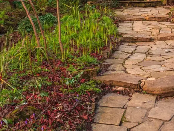 Hardscaping Services services in Bothell