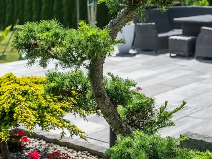 Patio Installation services in Bothell