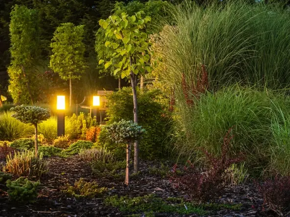 Landscape Architect