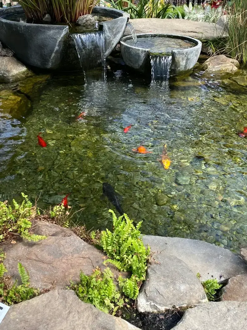 Professional Pond & Water Feature Design & Installation services by Adam Gorski Landscapes in Bellevue, WA &mdash; licensed scene Architect provider