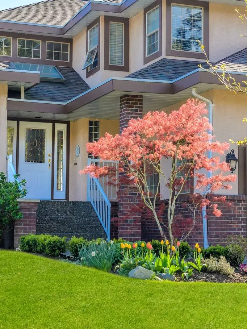 Landscaping Services in Bellevue, WA